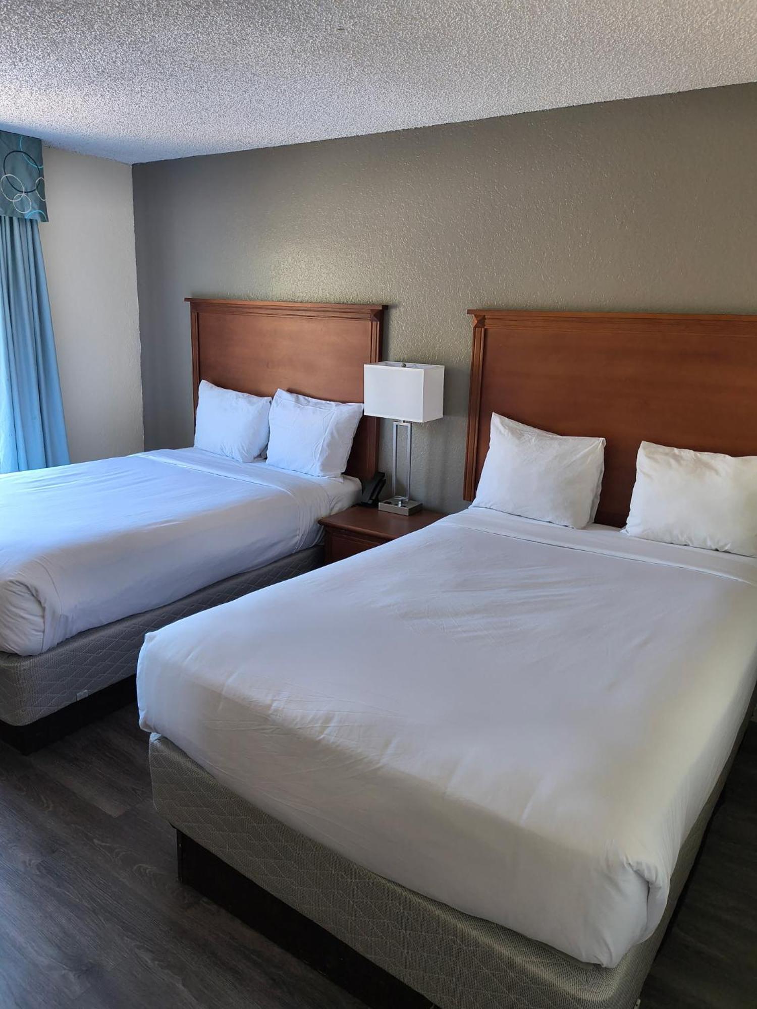 Baymont By Wyndham Gainesville I-75 Room photo