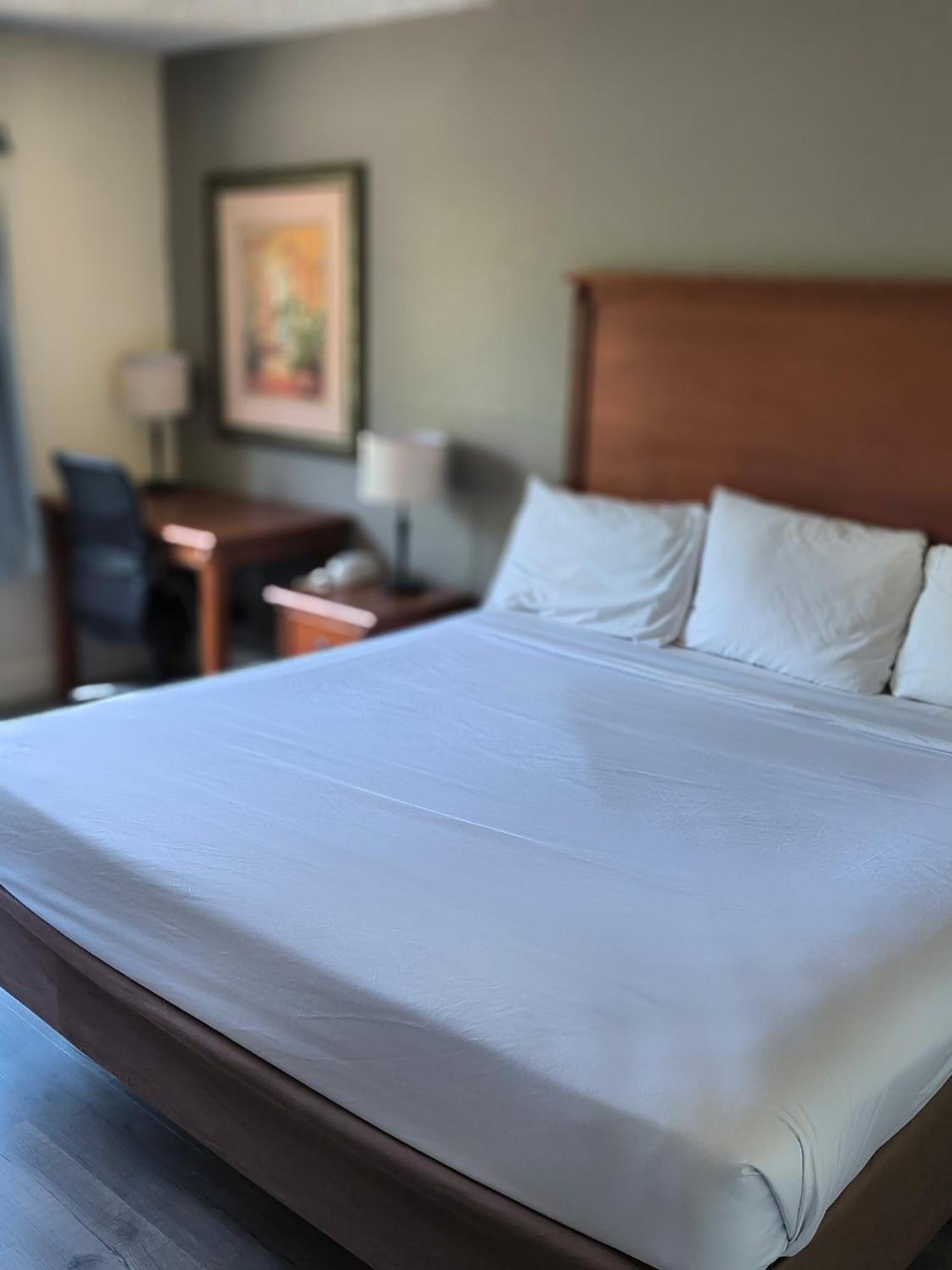 Baymont By Wyndham Gainesville I-75 Room photo